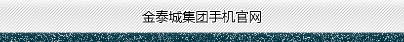 公司名称
